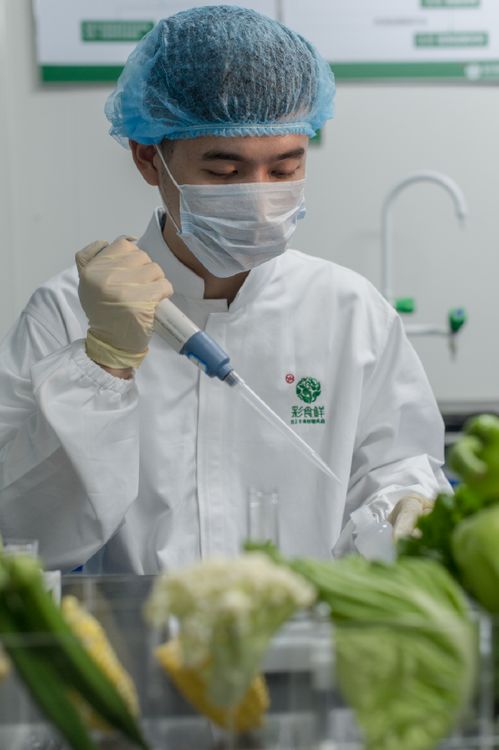 福建彩食鮮獲評2022年全國供應鏈創新與示范企業 打造供應鏈標桿，賦能餐飲配送服務